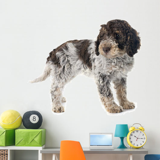 Romagna Water Dog Wall Decal