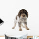 Romagna Water Dog Wall Decal