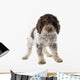 Romagna Water Dog Wall Decal