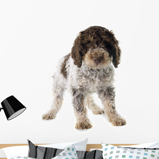 Romagna Water Dog Wall Decal