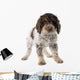 Romagna Water Dog Wall Decal