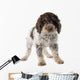 Romagna Water Dog Wall Decal