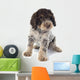 Romagna Water Dog Wall Decal