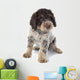 Romagna Water Dog Wall Decal