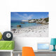 Famous Penguin Colony Boulders Wall Decal