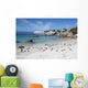 Famous Penguin Colony Boulders Wall Decal