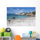 Famous Penguin Colony Boulders Wall Decal