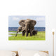 African Elephant Family Chobe Wall Decal