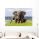 African Elephant Family Chobe Wall Decal