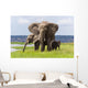 African Elephant Family Chobe Wall Decal