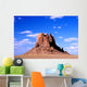New Mexico Wall Decal