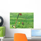 Croquet Equipment and Outdoor Wall Decal