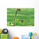 Croquet Equipment and Outdoor Wall Decal