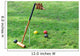 Croquet Equipment and Outdoor Wall Decal