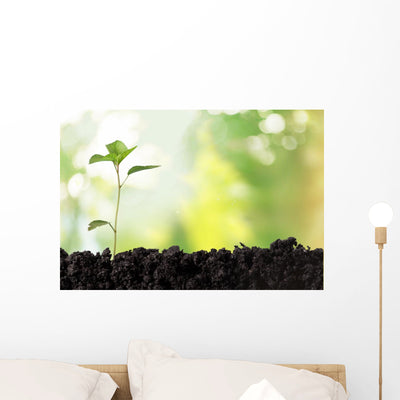 Seedling Newborn Oak Tree Wall Decal shown on a wall