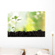 Seedling Newborn Oak Tree Wall Decal
