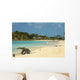 Josiah's Bay Tortola British Wall Decal