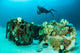 Scuba Diving Diver Shipwreck Wall Decal