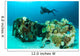 Scuba Diving Diver Shipwreck Wall Decal