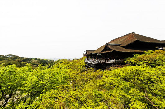 Kiyomizu Temple Japan Wall Decal