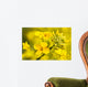 Canola Flower Wall Decal