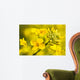 Canola Flower Wall Decal