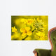 Canola Flower Wall Decal