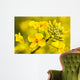 Canola Flower Wall Decal