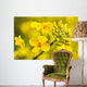 Canola Flower Wall Decal