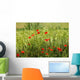 Poppies Field Wheat Wall Decal