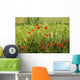 Poppies Field Wheat Wall Decal