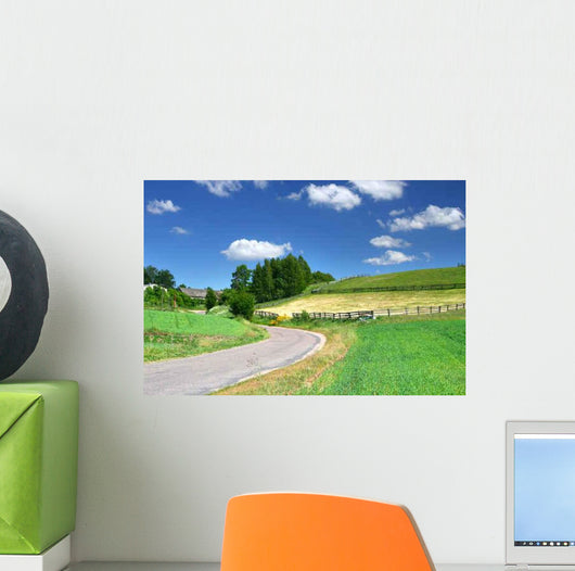 Picturesque Country Road and Wall Decal