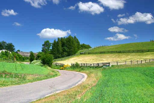 Picturesque Country Road and Wall Decal