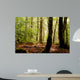 Sous-bois Wall Decal