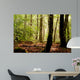 Sous-bois Wall Decal