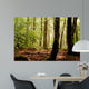Sous-bois Wall Decal