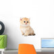 Little Kitten Wall Decal