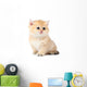 Little Kitten Wall Decal