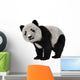 Panda Bear Cub Wall Decal