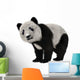 Panda Bear Cub Wall Decal