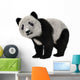 Panda Bear Cub Wall Decal
