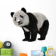 Panda Bear Cub Wall Decal
