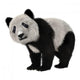Panda Bear Cub Wall Decal