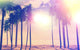 Vintage Ocean Palm Trees Wall Decal