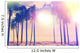 Vintage Ocean Palm Trees Wall Decal