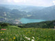 Spring Salzkammergut Wall Decal