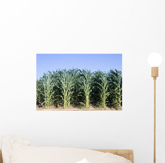 Cornfield Wall Decal