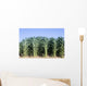 Cornfield Wall Decal