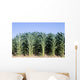 Cornfield Wall Decal