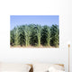 Cornfield Wall Decal